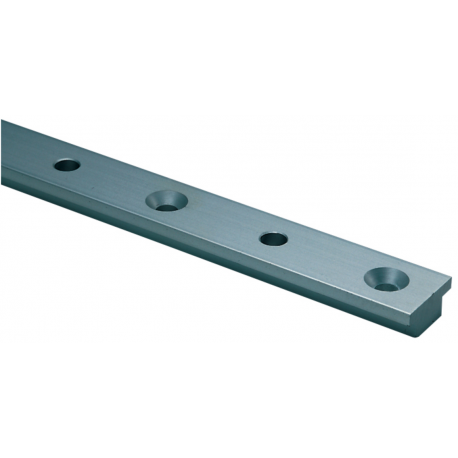 RAIL EN T 32MM - 2.5M