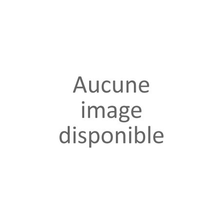 COUSSINET IGUS HFM POUR AG600