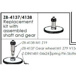 REPLACEMENT KIT WITH ASSEMBLED SHAFT AND GEAR