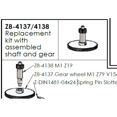 REPLACEMENT KIT WITH ASSEMBLED SHAFT AND GEAR